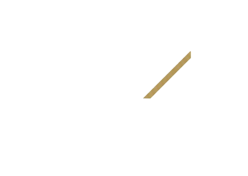 G4 — C-Suite Consulting